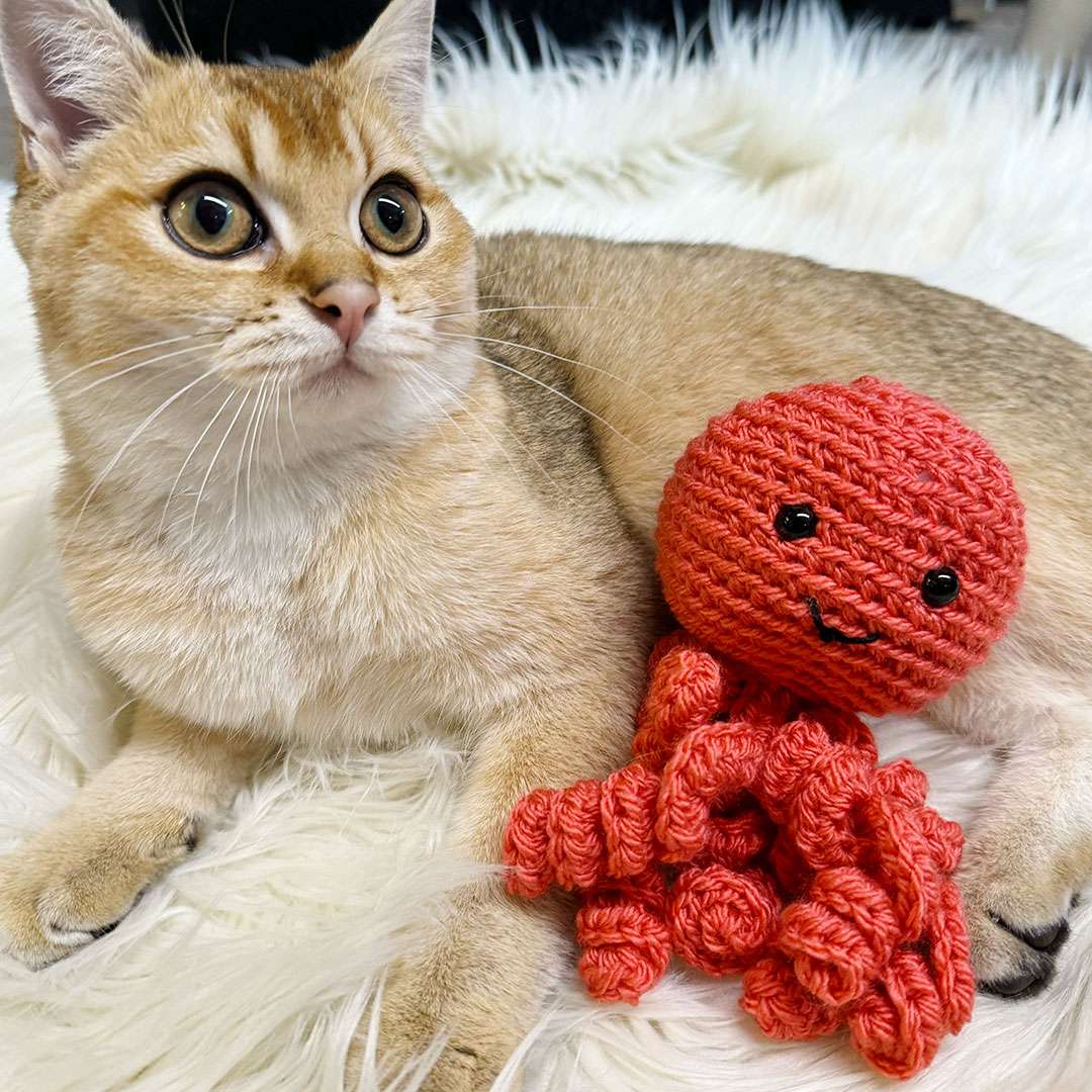 amigurumi fatti a mano per bambini e animali abibi sogni filati