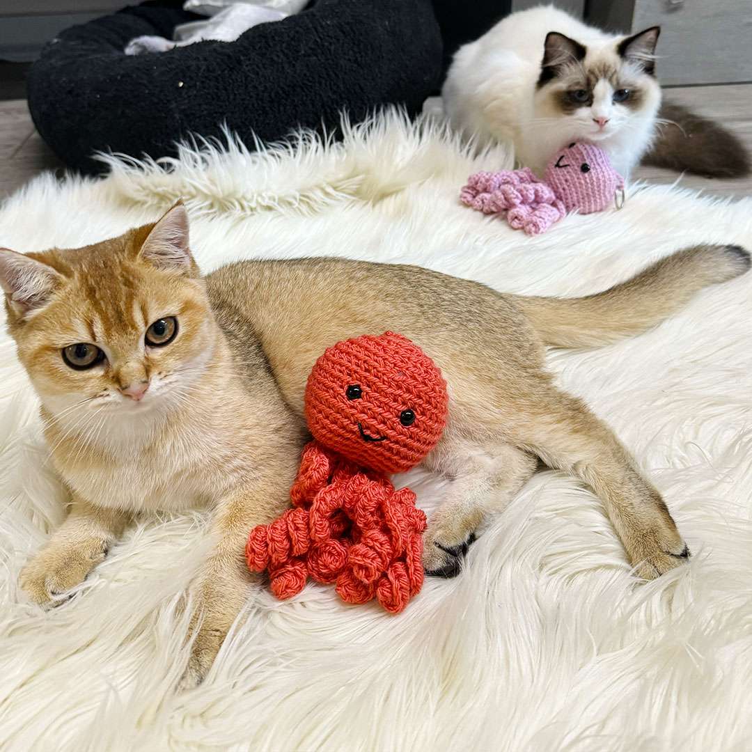 amigurumi fatti a mano per bambini e animali abibi sogni filati